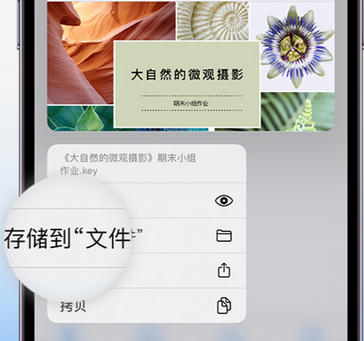 兴县apple维修中心分享iPhone文件应用中存储和找到下载文件