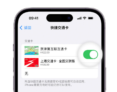 兴县apple维修点分享iPhone上更换Apple Pay快捷交通卡手绘卡面 