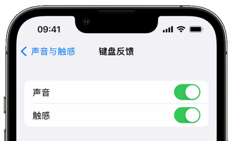 兴县苹果手机维修分享iPhone 14触感键盘使用方法 