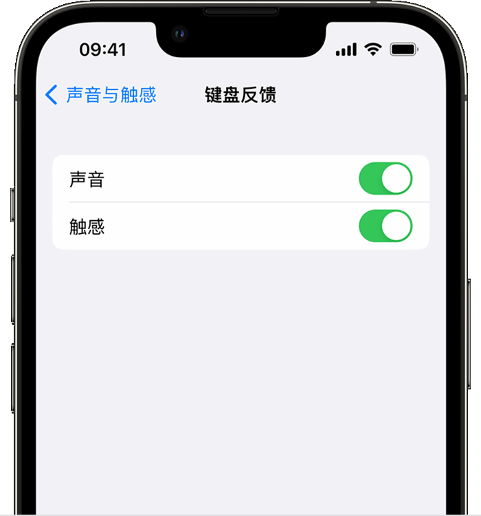 兴县苹果14维修店分享如何在 iPhone 14 机型中使用触感键盘 