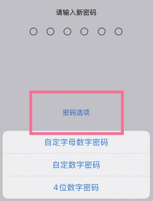 兴县苹果14维修分享iPhone 14plus设置密码的方法 