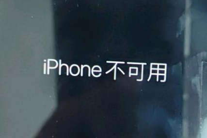 兴县苹果服务网点分享锁屏界面显示“iPhone 不可用”如何解决 