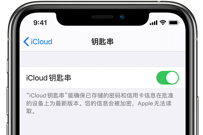 兴县苹果手机维修分享在 iPhone 上开启 iCloud 钥匙串之后会储存哪些信息 