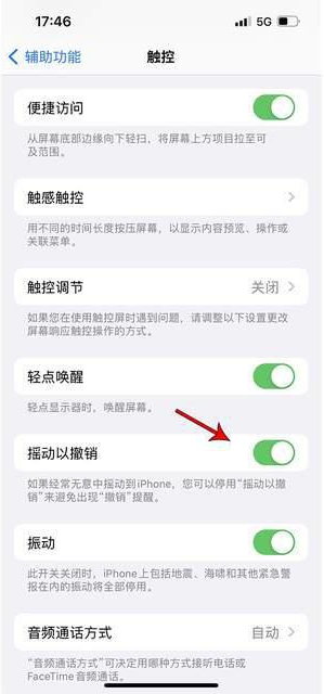 兴县苹果手机维修分享iPhone手机如何设置摇一摇删除文字 