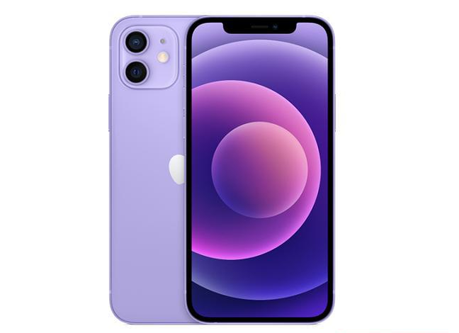 兴县苹果手机维修分享现阶段要不要入手紫色版iPhone12 